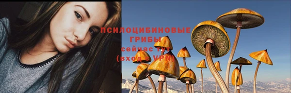 меф Майский