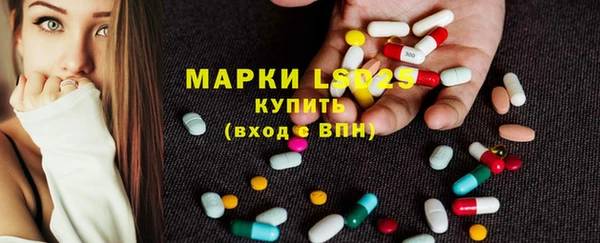 apvp Магас