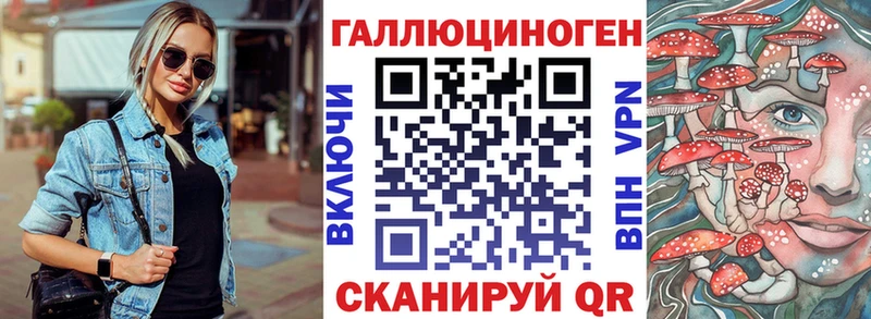 где купить наркоту  Темников  Псилоцибиновые грибы Psilocybine cubensis 